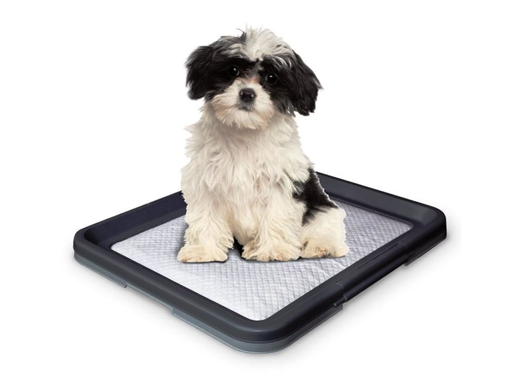 Nobby Doggy Trainer S plastové WC na podložky pro štěňata 48 x 41 x 3,5 cm z kategorie Chovatelské potřeby a krmiva pro psy > Hygiena a kosmetika psa > Toalety a podložky pro psy