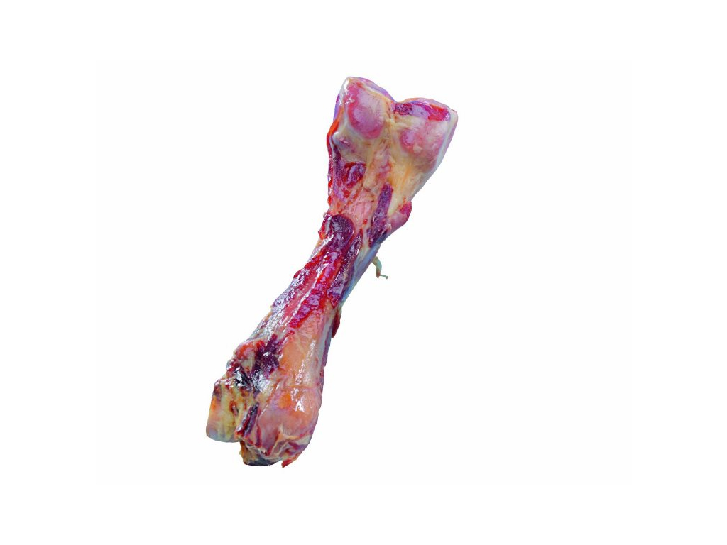 Nobby šunková kost MAXI 24cm / 400g z kategorie Chovatelské potřeby a krmiva pro psy > Pamlsky pro psy > Sušené vnitřnosti, kosti pro psy