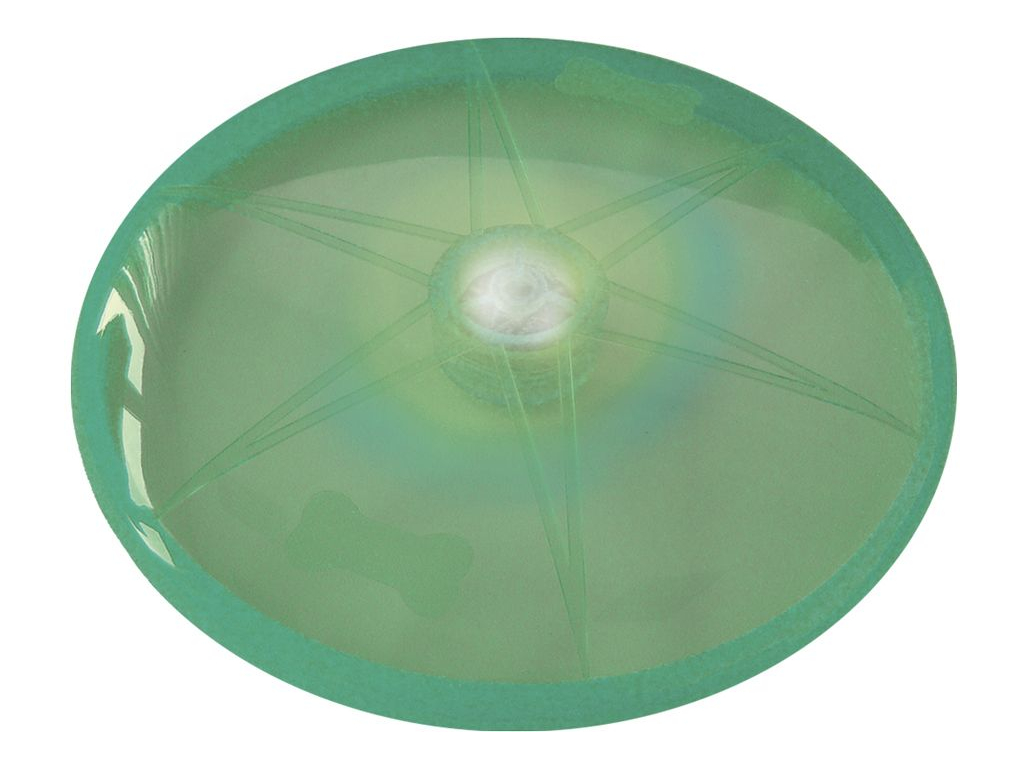 Nobby LED blikající frisbee pro psy zelené 15 cm z kategorie Chovatelské potřeby a krmiva pro psy > Hračky pro psy > Aportovací hračky pro psy > Frisbee pro psy