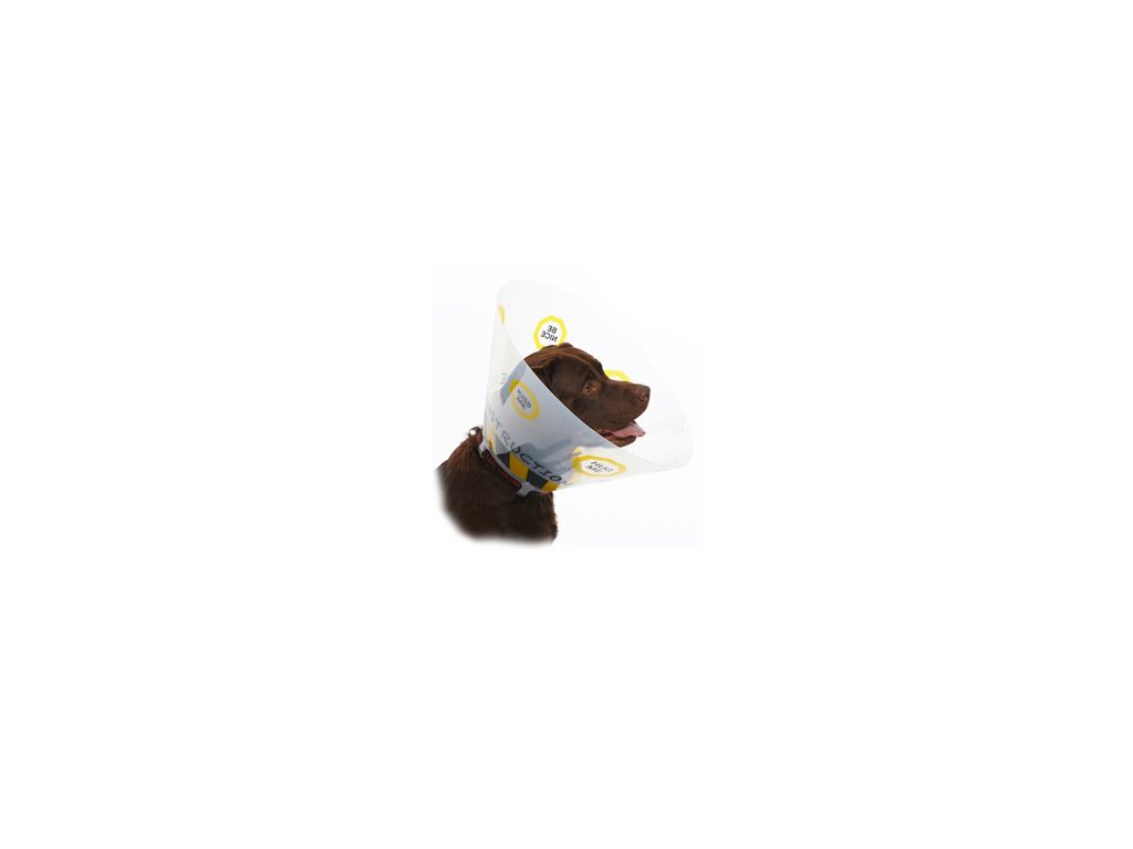 BUSTER Design Collar límec ochranný plastový 10cm z kategorie Chovatelské potřeby a krmiva pro psy > Oblečky a doplňky pro psy > Ochranné límce pro psy