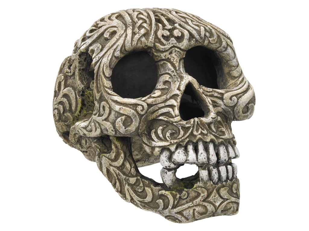 Nobby akvarijní dekorace Mexická lebka Calavera 11,2 x 15,8 x 10,8 cm z kategorie Akvaristické a teraristické potřeby > Dekorace do akvária > Kostry, lebky a poklady