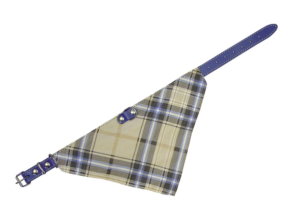 Nobby kožený obojek se šátkem 35cm modrá z kategorie Chovatelské potřeby a krmiva pro psy > Obojky, vodítka a postroje pro psy > Obojky pro psy
