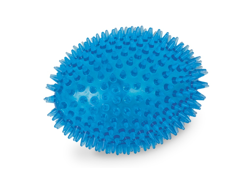 Nobby TRP Football hračka masážní bodlinky 11cm modrá z kategorie Chovatelské potřeby a krmiva pro psy > Hračky pro psy > Aportovací hračky pro psy > Míčky pro psy