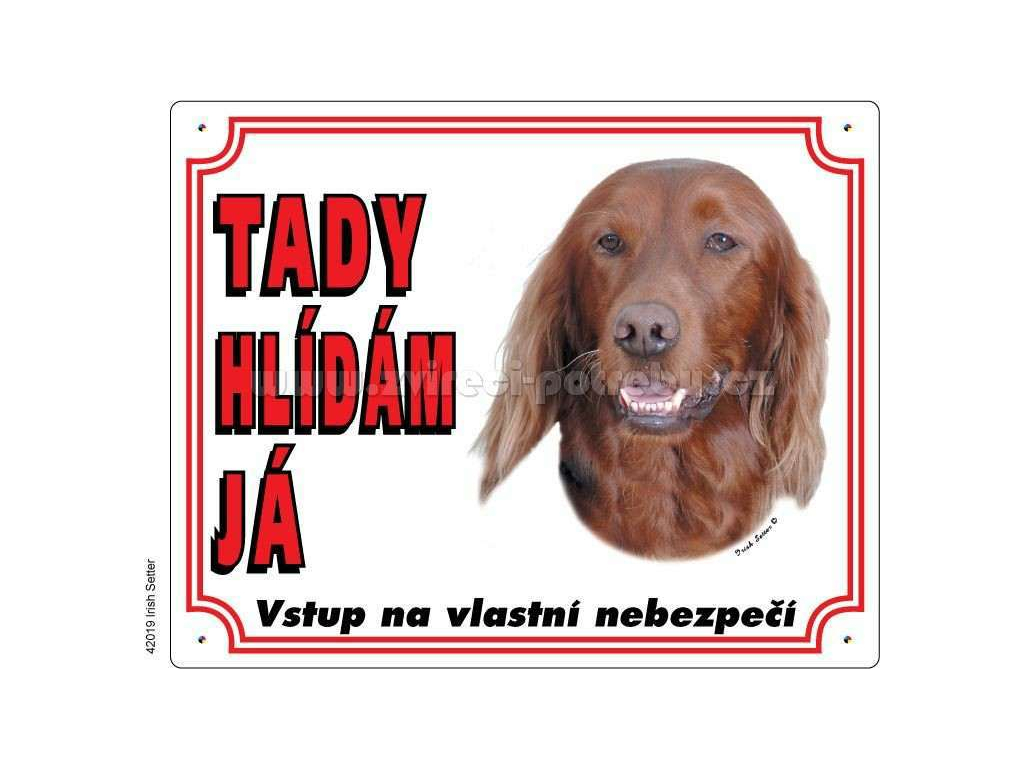 Výstražná plastová tabulka na plot Irský setr z kategorie Chovatelské potřeby a krmiva pro psy > Tabulky, samolepky > Psí tabulky na plot