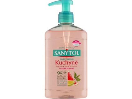 Sanytol Antibacterial Soap – Kitchen 250 ml