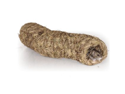 Prelízačka trávnatá