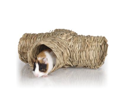 Grass Tunnel "T"