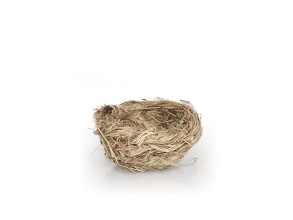 Tổ cỏ có bông lúa