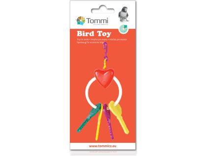 Exotic Bird Toy - Keys