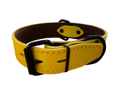 Bafpet Obojek HERRY černé kování 60cm/35mm žlutá