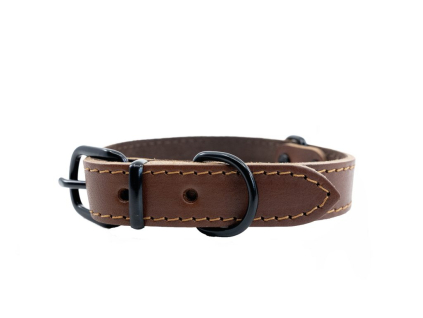 Kožený obojek ARGUS, černé kování - Koňak