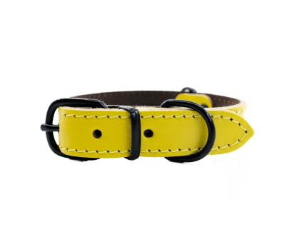 Kožený obojek ARGUS, černé kování - Žlutá