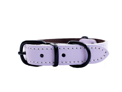 Kožený obojek ARGUS, černé kování - Fialová