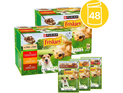 Friskies Adult multipack lahodný výběr ve šťávě 48×85g