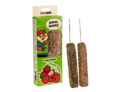 Ham-Stake Sticks Sommerfrüchte (2 Stk.)