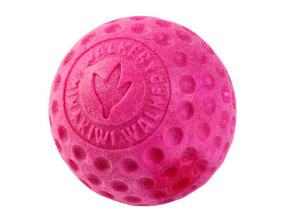 133716 hracka pro psy