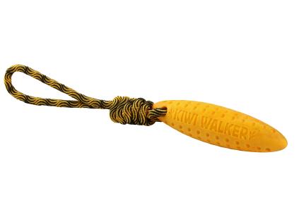 133721 hracka zeppelin pro psy