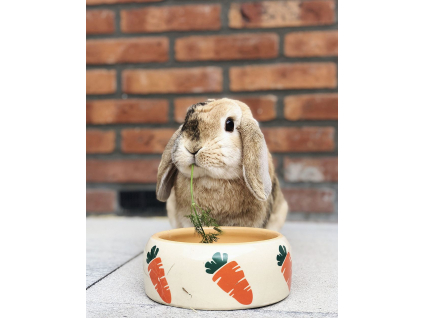 Nobby CARROT keramická miska pro hlodavce 500ml