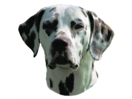 Dalmatin samolepka 2ks z kategorie Chovatelské potřeby a krmiva pro psy > Tabulky, samolepky > Samolepky psů