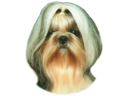 Shih-tzu samolepka 2ks
