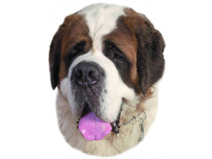 Svatobernardský pes samolepka 2ks z kategorie Chovatelské potřeby a krmiva pro psy > Tabulky, samolepky > Samolepky psů