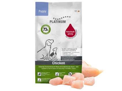 platinum chicken puppy