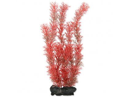 Rostlina TETRA Foxtail Red L 1 ks z kategorie Akvaristické a teraristické potřeby > Akvarijní technika
