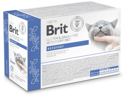 Brit Veterinary Diet Cat Pouch fillets in Gravy Recovery 12x85 g