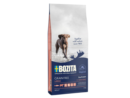 Bozita Dog Large Salmon & Beef GF 12 kg z kategorie Chovatelské potřeby a krmiva pro psy > Krmiva pro psy > Granule pro psy