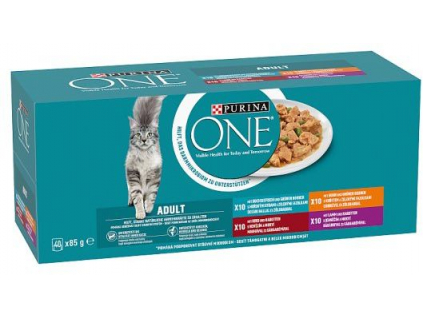 Purina One Multipack minifiletky ve šťávě 40x85g z kategorie Chovatelské potřeby a krmiva pro kočky > Krmivo a pamlsky pro kočky > Kapsičky pro kočky