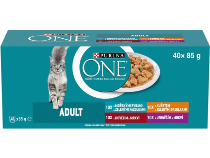Purina ONE Multipack minifiletky ve šťávě 40x85g