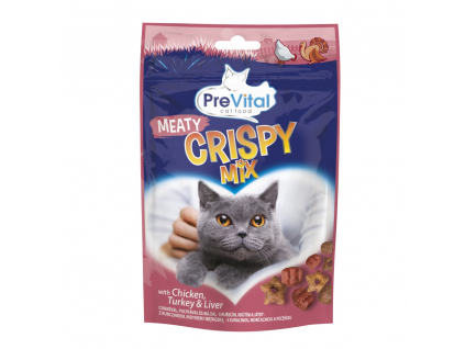 PreVital Snack Crispy masový mix 60g