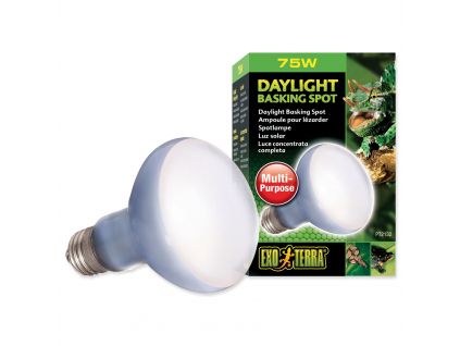 Exo Terra Daylight Basking Spot Bulb 75W