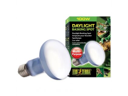 Izzó Exo Terra Daylight Basking Spot 100W