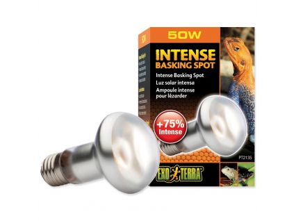 Exo Terra Intense Basking Spot Bulb 50W