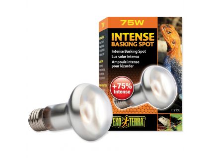 Izzó Exo Terra Intense Basking Spot 75W