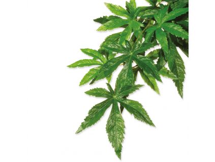 Exo Terra Abutilon Silk Plant Decoration Medium