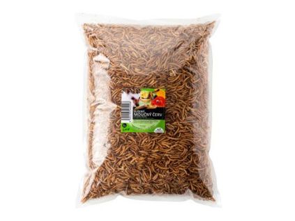 UGF getrocknete Mehlwürmer 1 kg