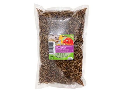 UGF suszone larwy BSF 250g