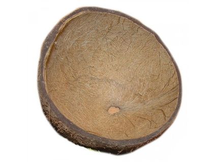 Robimaus Kokosnussschale
