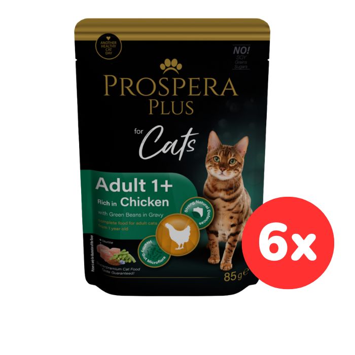 Kapsička Prospera Plus Cat Adult 1+ kuře s fazolkami 6x85g