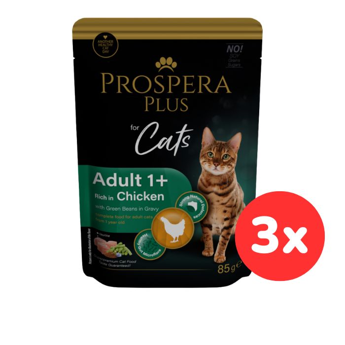 Kapsička Prospera Plus Cat Adult 1+ kuře s fazolkami 3x85g