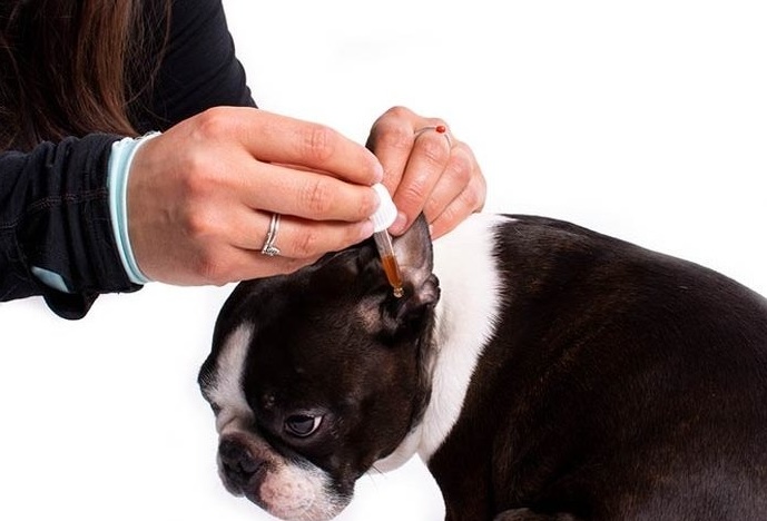 Ecopets Olej Ucho 30 ml