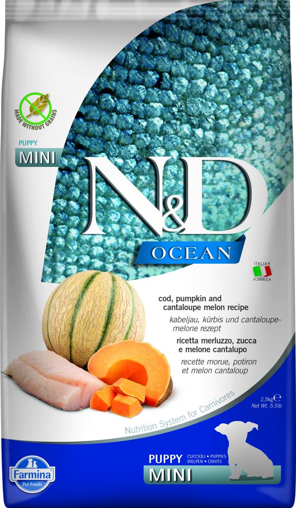 N&D OCEAN DOG Puppy Mini Codfish & Pumpkin & Melon 2,5kg