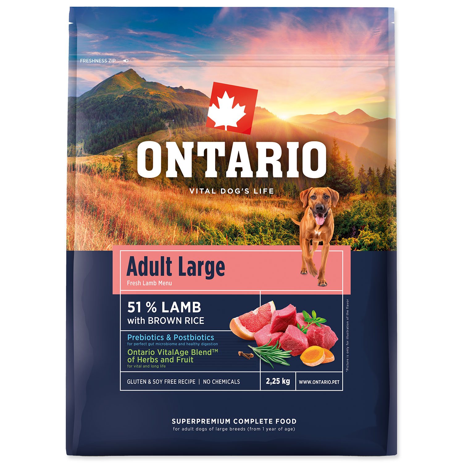Krmivo Ontario Adult Large Lamb & Brown Rice 2,25kg