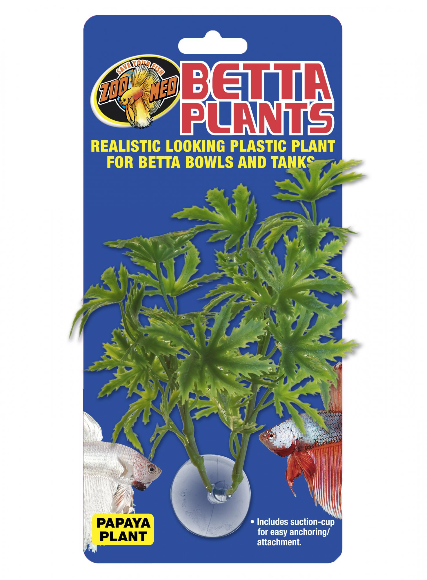 Zoomed Betta Plant – Papája