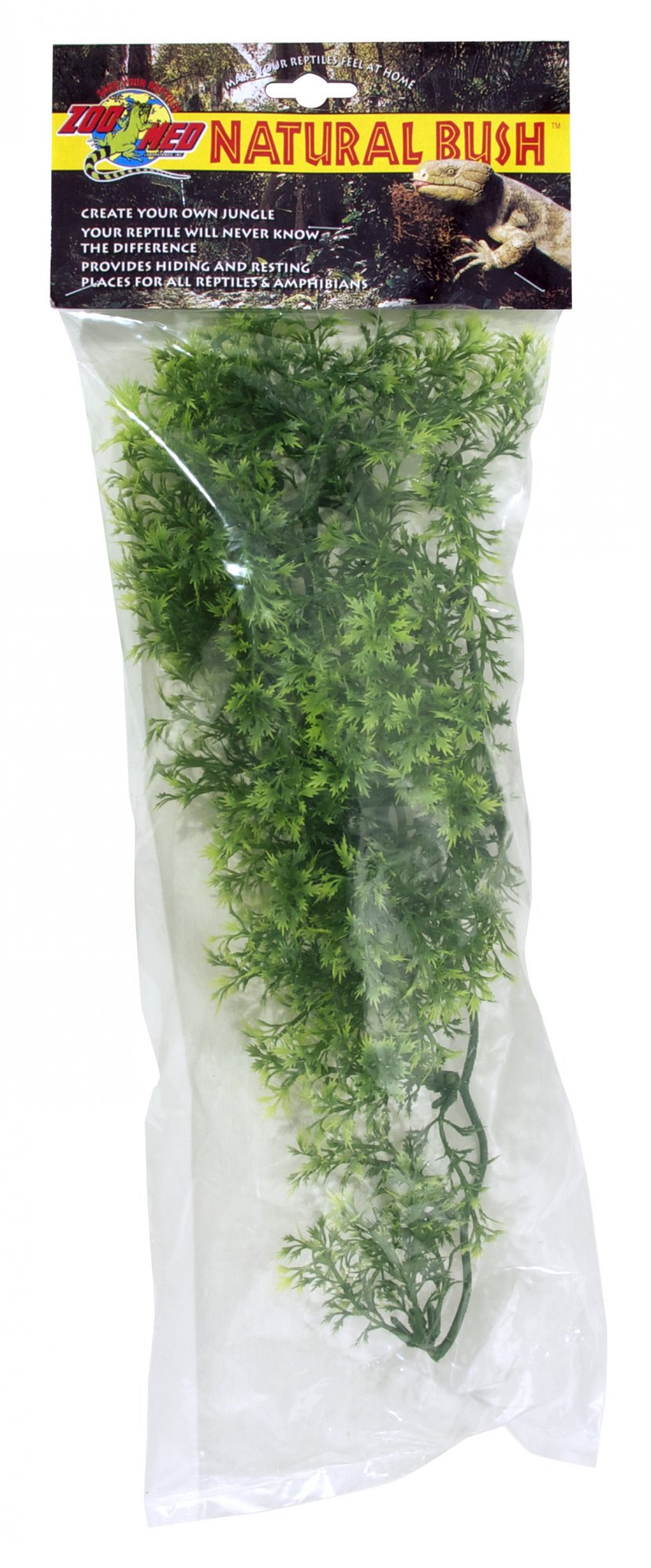 Zoomed Rost.ter.ZMD australian Maple M