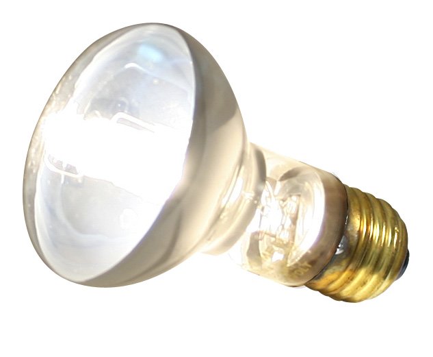 ZOOMED ZMD REPTI halog.lampa vyhrevni 50W