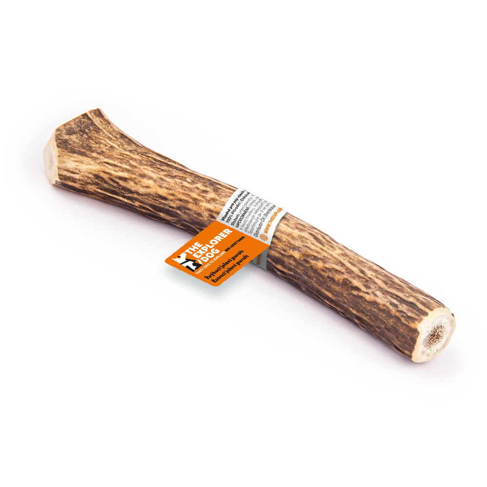 EXPLORER DOG Žvýkací jelení paroh tvrdý XL