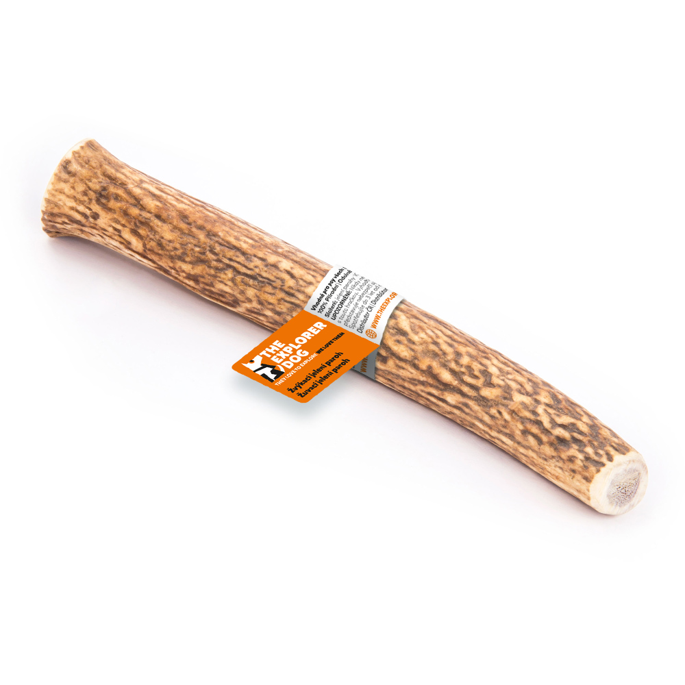 EXPLORER DOG Žvýkací jelení paroh tvrdý XXL